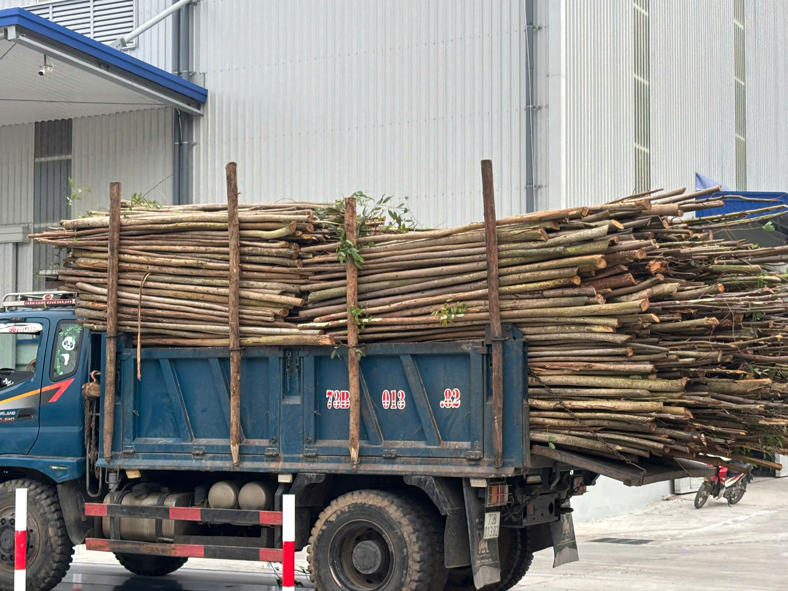 Overview of DOHWA wood pellet production factory for export