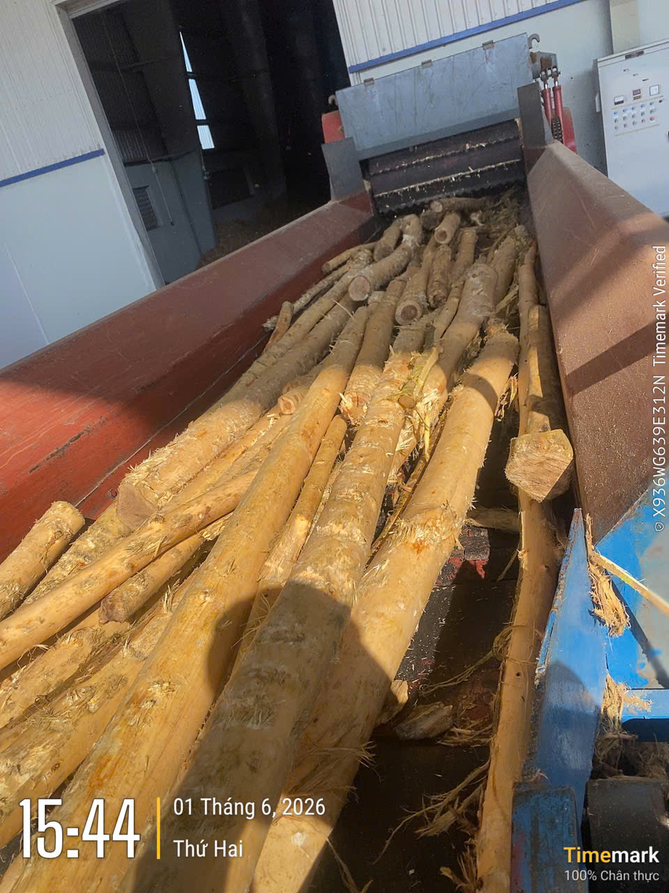Debarking Machine